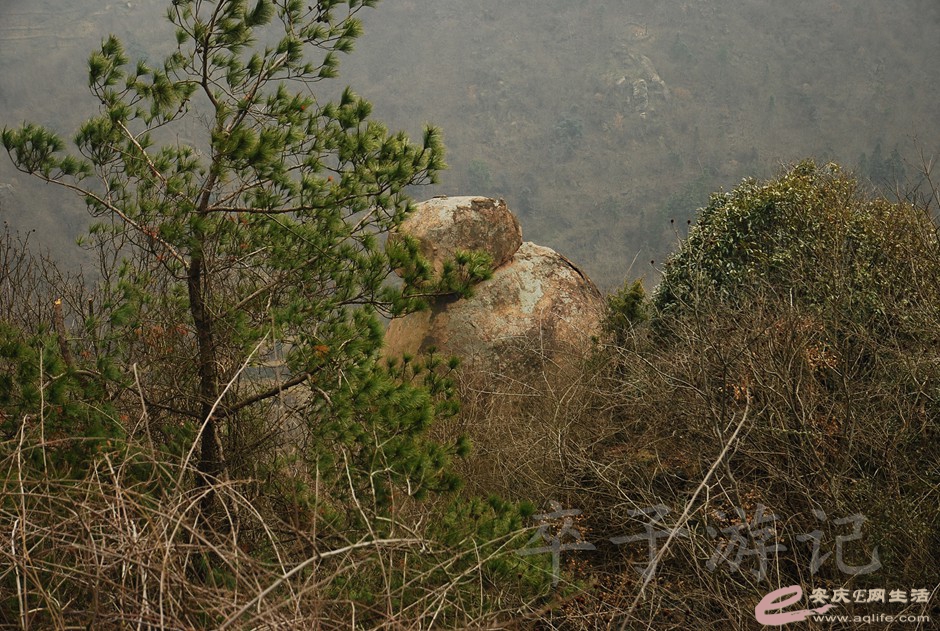 DSC_2556.jpg