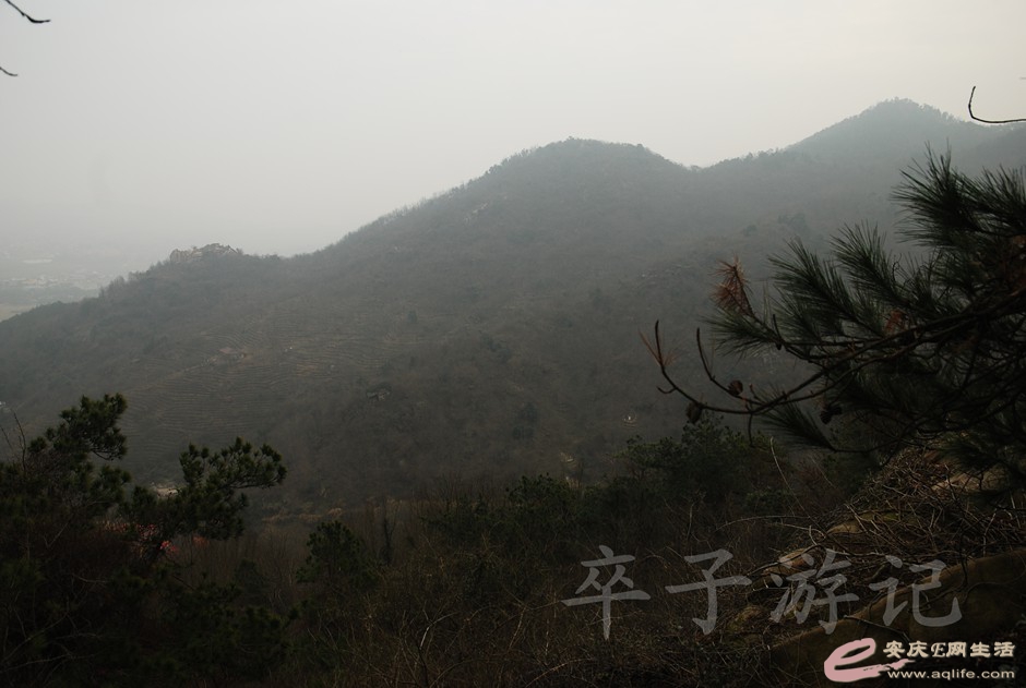 DSC_2586.jpg