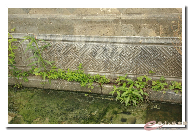 20140628 154.jpg
