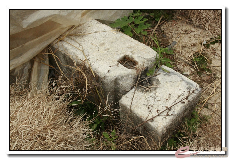 20140628 172.jpg