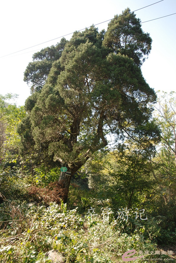 04.jpg
