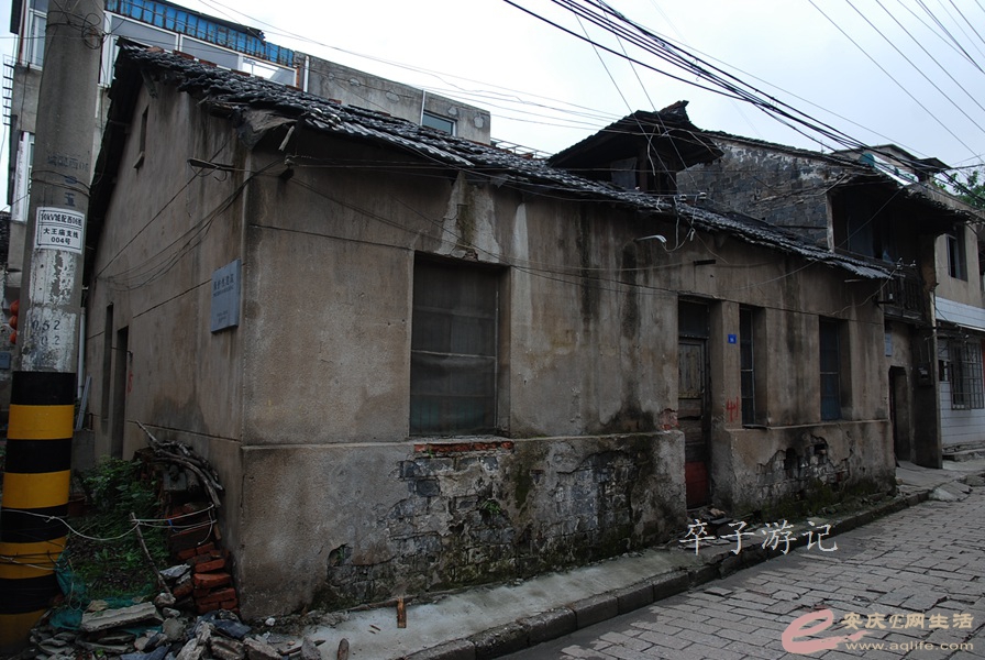 06.jpg