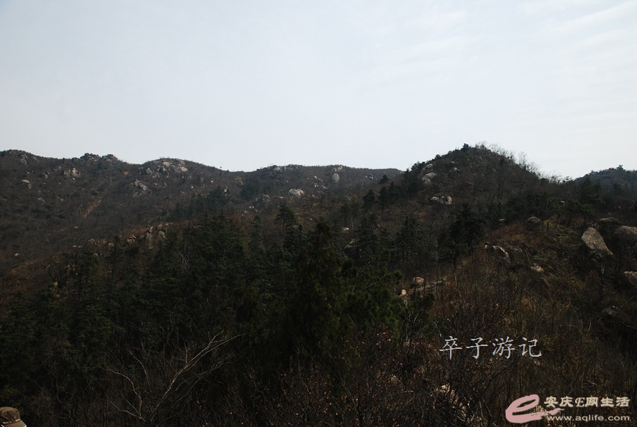 07.jpg
