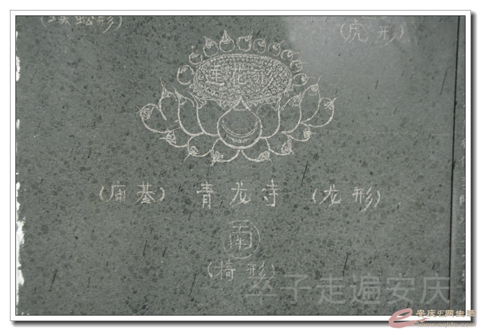 20151107 012.jpg