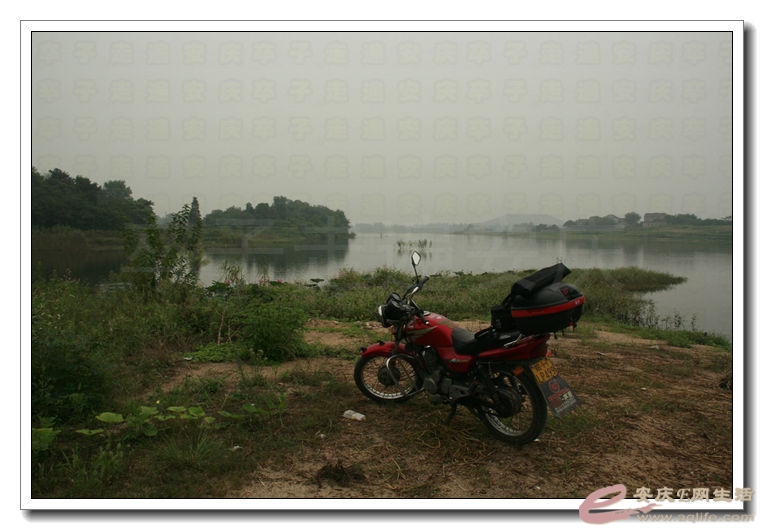 20140910 001.jpg