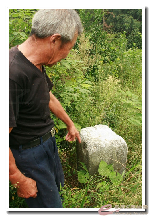 20140910 075.jpg