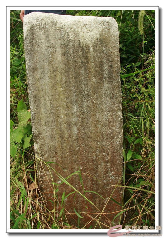 20140910 083.jpg