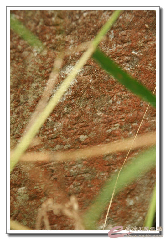 20140910 095.jpg