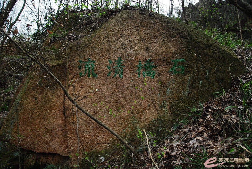 20151212 084.jpg