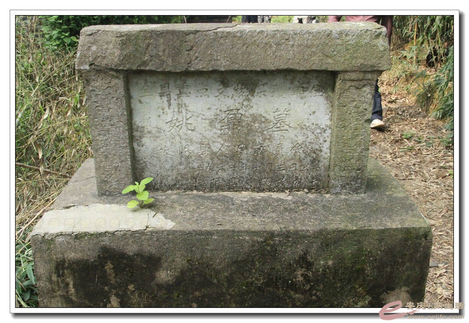 20150718 806.jpg