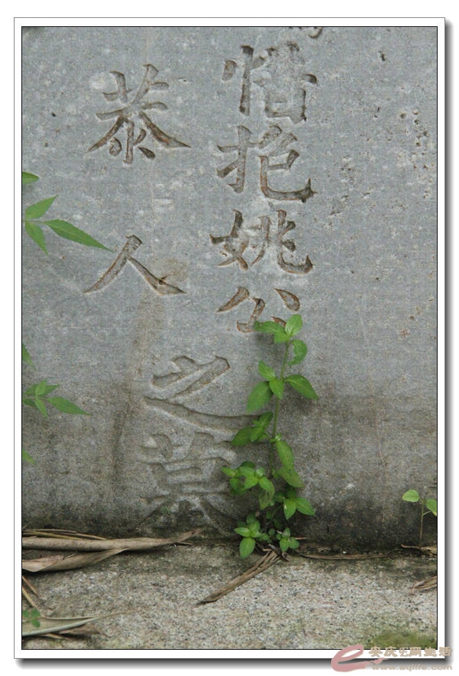 20150718 817.jpg