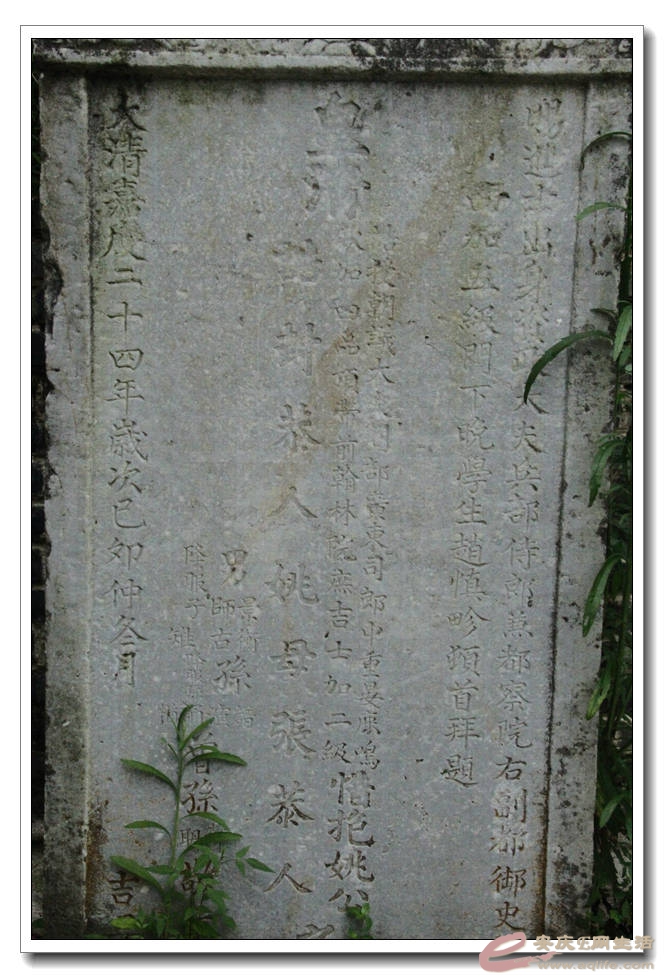 20150718 820.jpg