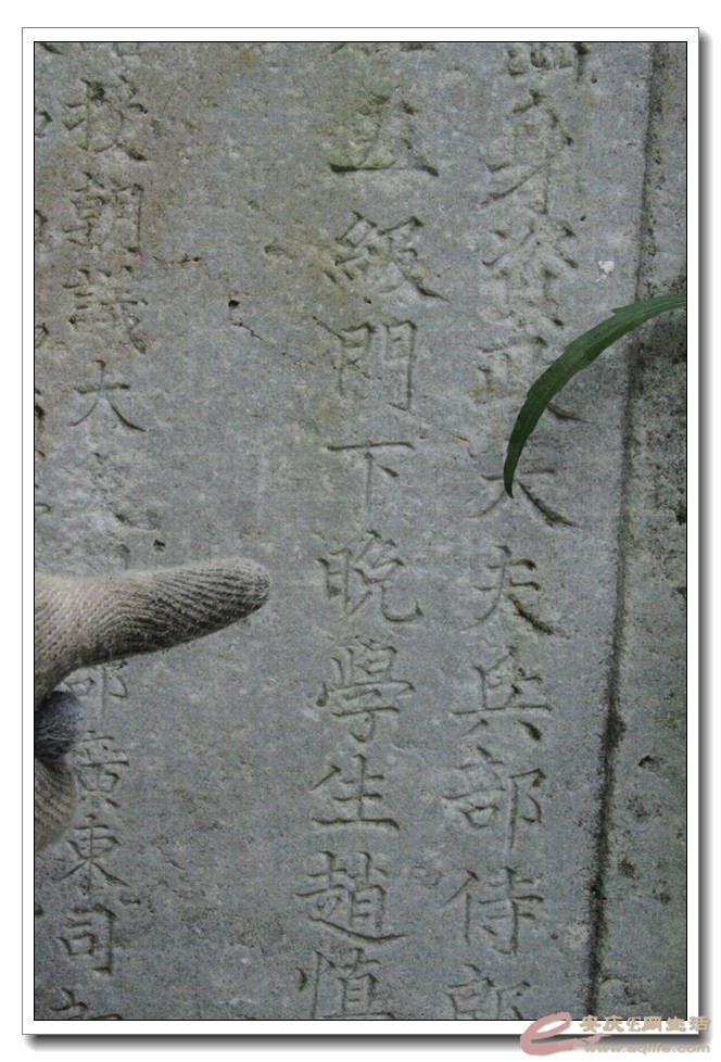 20150718 824.jpg