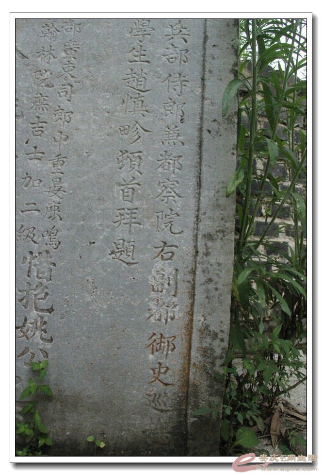 20150718 828.jpg