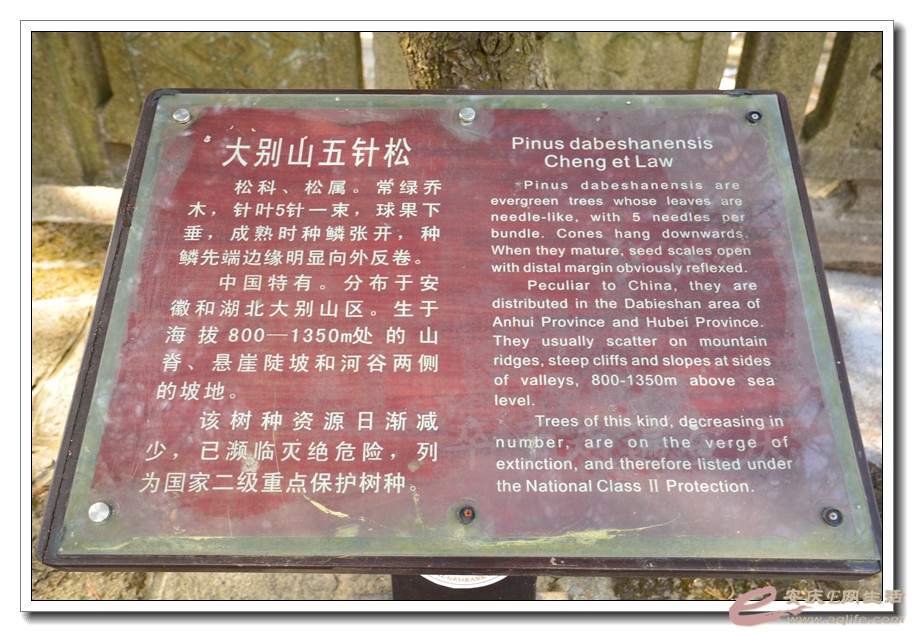 20160209 759.jpg