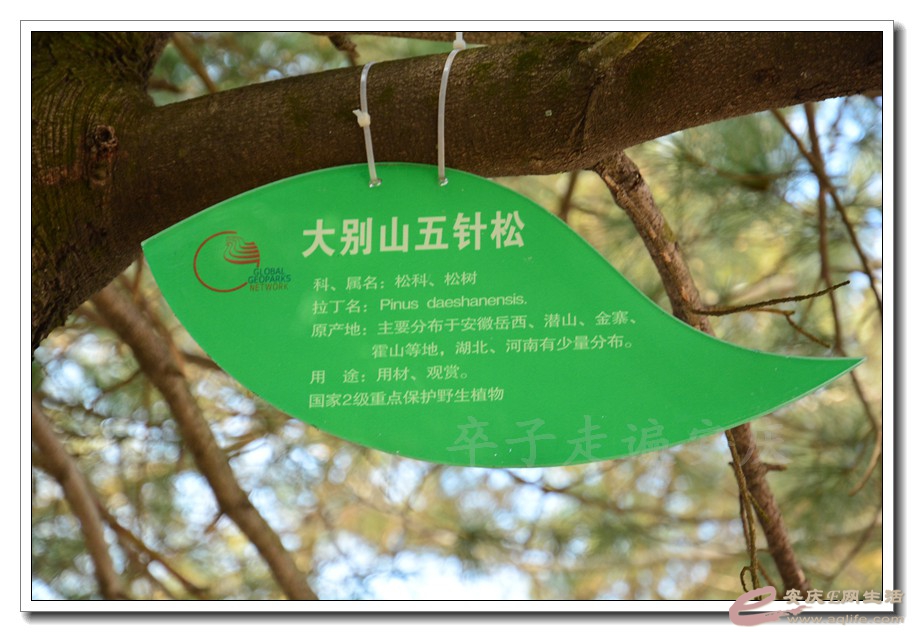 20160209 761.jpg