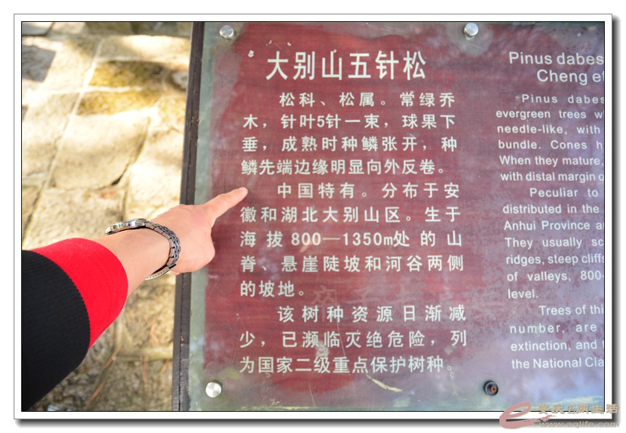 20160312 760.jpg
