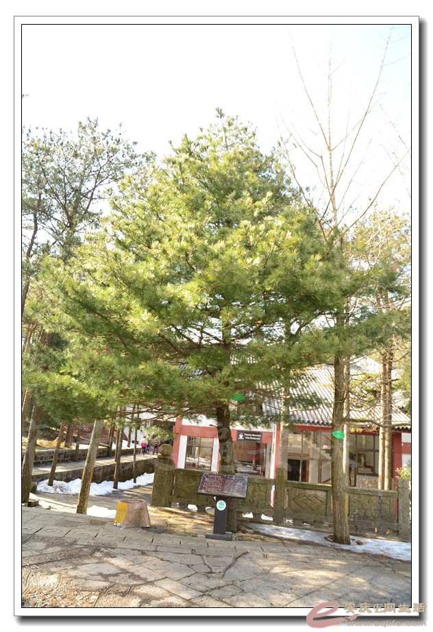 20160409 768.jpg
