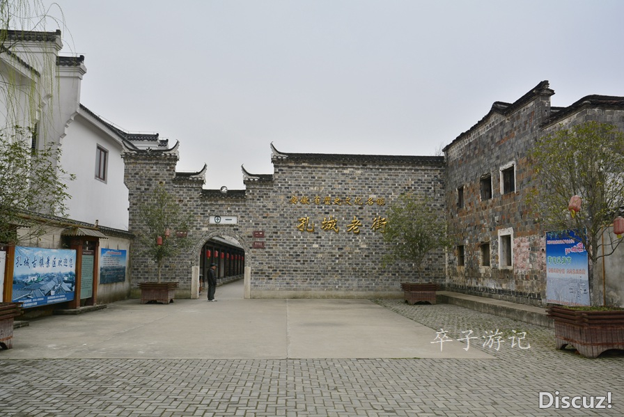 04.jpg