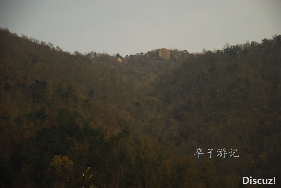 02.jpg
