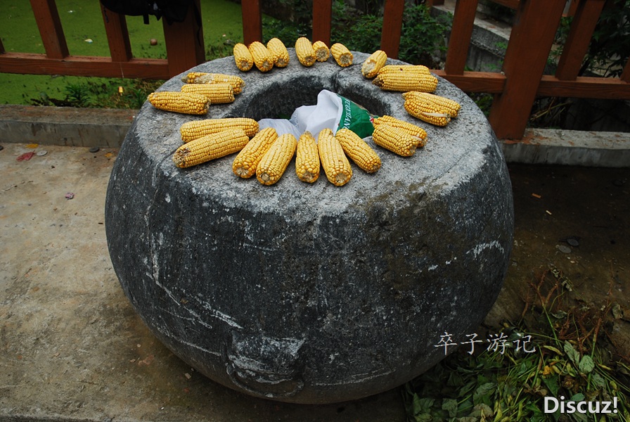 08.jpg