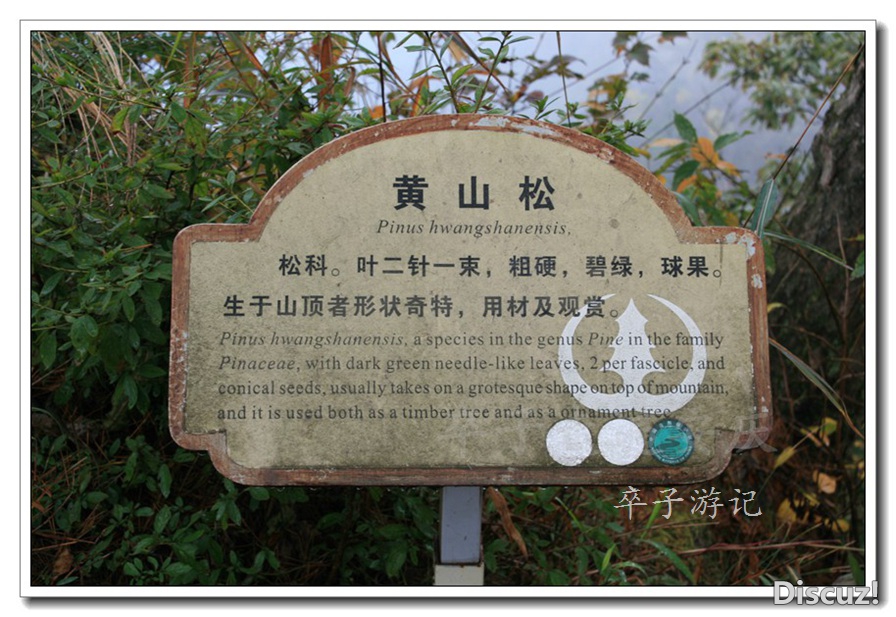 116.jpg