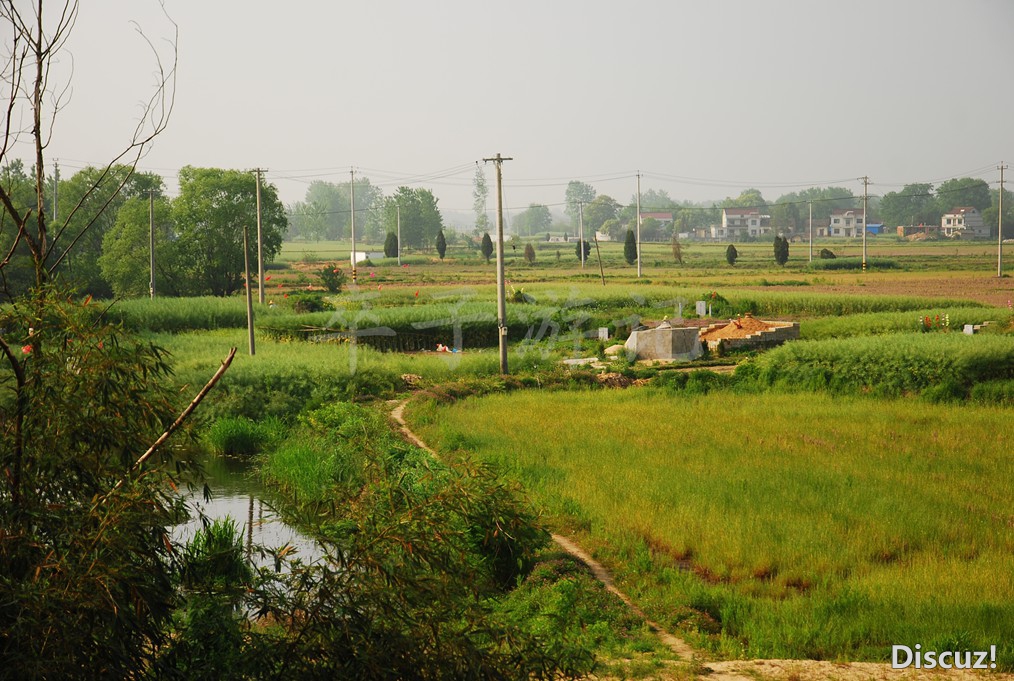 DSC_4320.jpg