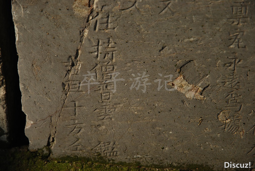 DSC_4348.jpg