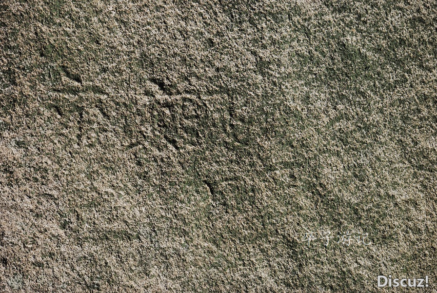 148.jpg