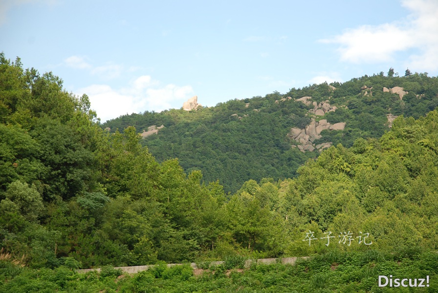 178.jpg