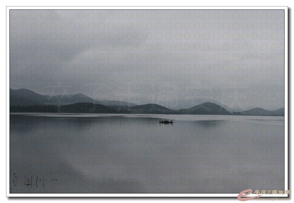 20150718 015.jpg