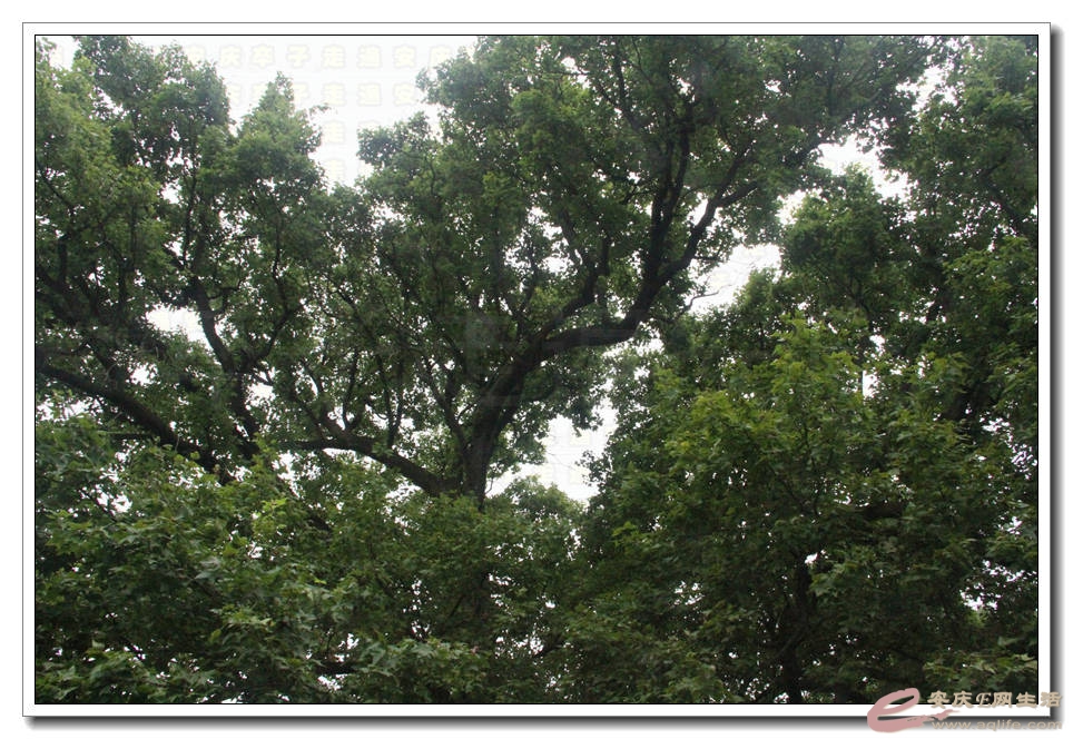 20150718 035.jpg