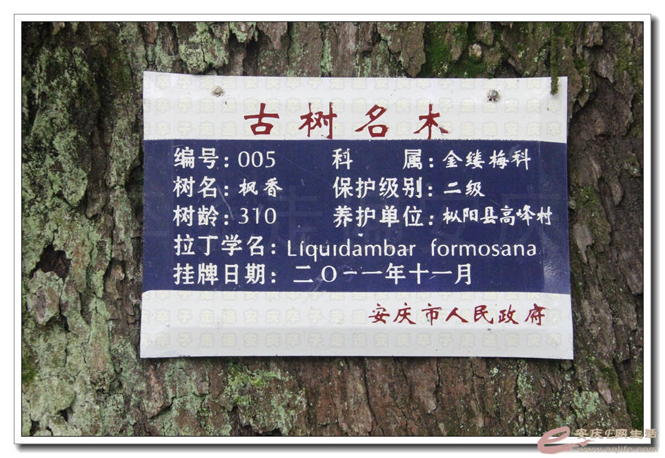 20150718 038.jpg