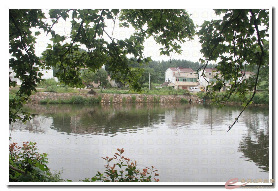 20150718 042.jpg