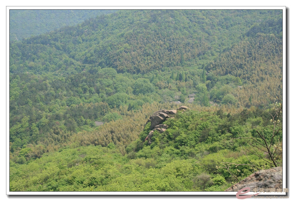 20150425 159.jpg