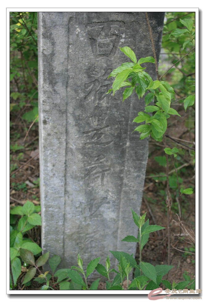 20150425 228.jpg