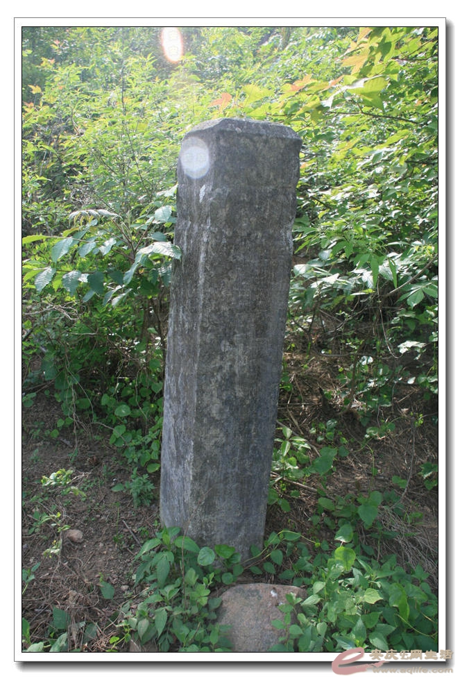 20150425 235.jpg