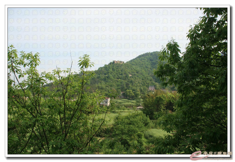 20150425 238.jpg