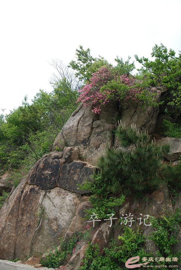 06.jpg