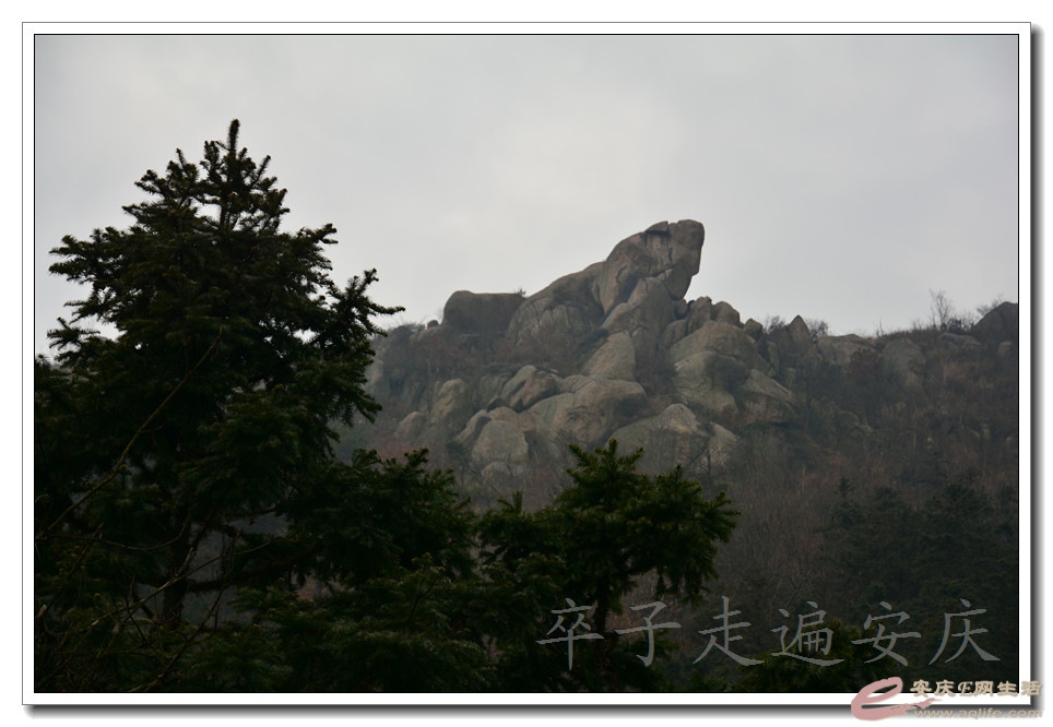 20160103 003.jpg