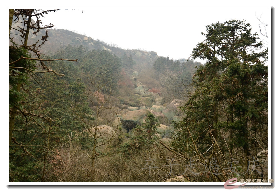 20160103 034.jpg