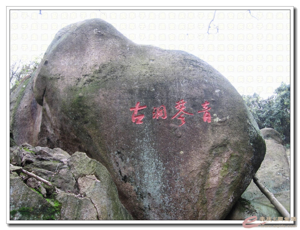α 022.jpg