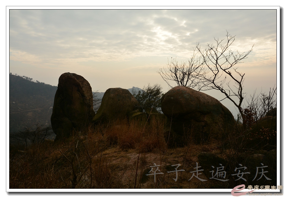 α 036.jpg