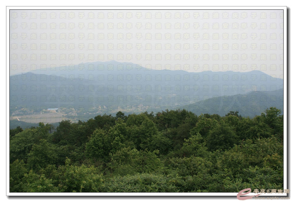 20150523 147.jpg