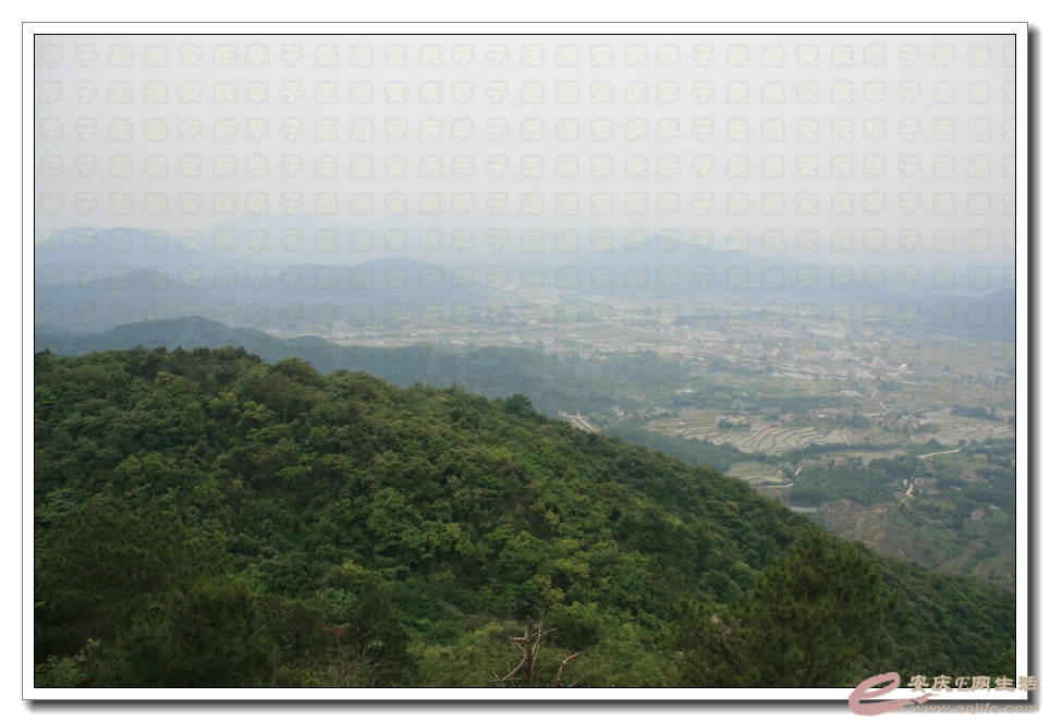 20150523 279.jpg
