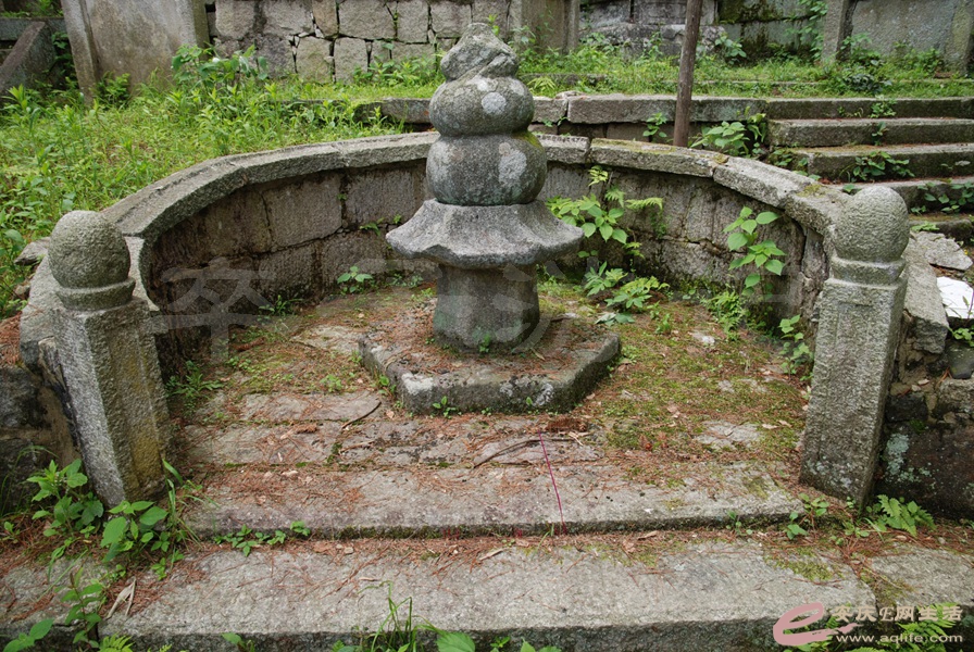 05.jpg