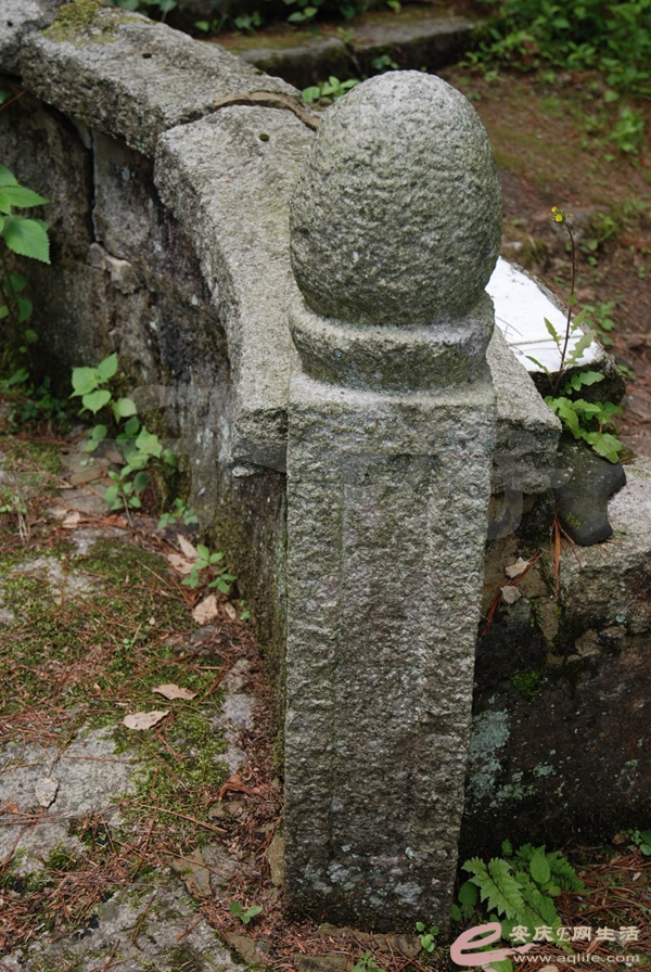 06.jpg