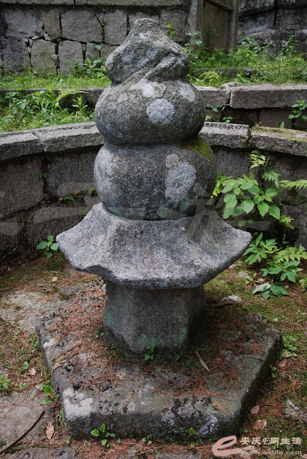 08.jpg