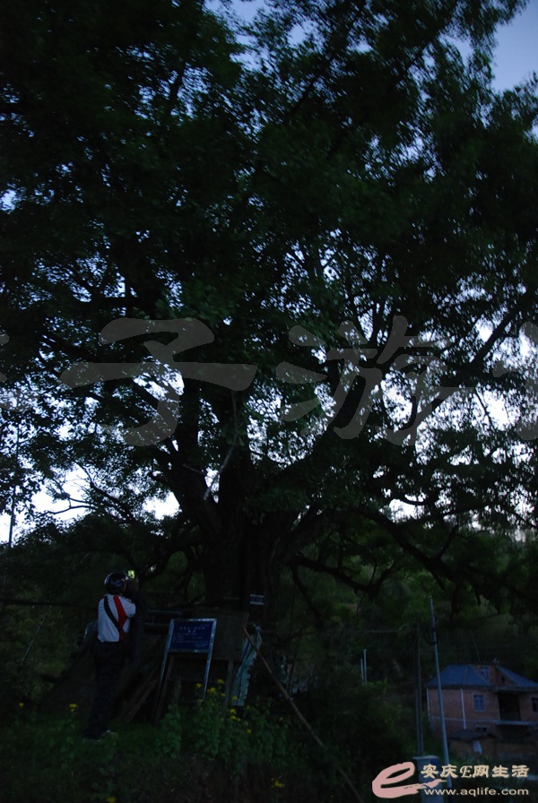 03.jpg