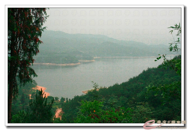 20140622 007.jpg